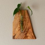 Hanging Propagation Vase 1 small