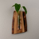 Hanging Propagation Vase 3 small