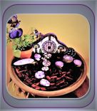 Fairy Garden Kit, Fairy  Garden, Garden Decorations, Childs Garden,Summer Fun 4 small