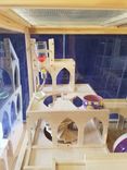 Pet Palace / Animal Home / Furniture For Fluffers 2 small