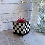 Whimsical Checks Gift Box Courtly Checks Box 5 small