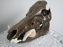 Custom European Mounts, Natural Or Hydro-Dipped! 3 small