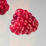 One Realistic Glass Red Raspberry Sculpture, Hand Blown and Life-Sized 5 small