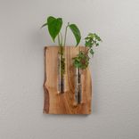 Hanging Propagation Vase 2 small