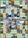 42 X 56 Family Photographs Art Quilt - Vert Photos 1 small