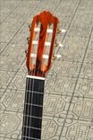 Classical Guitar Solid Nogal Back & Sides / Red Cedar Top. (Free 5 Day Expedited Ups Shipping) 5 small