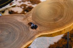Rare Cut Live Edge Coffee Table 5 small