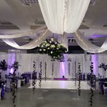 Lucite / Acrylic Arch - Walkway - Great For Weddings Or Parties, Easy To Decorate, Rent It Locally!! 6 small