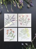Hand-Painted Ceramic Cheese Plates & Coasters 1 small
