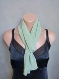 Celery Chiffon Scarf 1 small