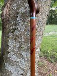 Walking Cane 2 small