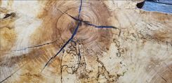 Live Edge Epoxy Tabletop Spalted Sycamore 6 small