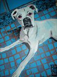 Pet Portraits 2 small