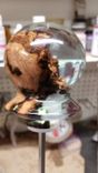 The Crystal Forest, Hybrid Oak Burl, Crush Grind Pepper/Salt Mill 5 small