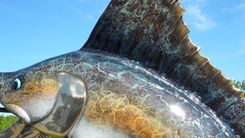 Bronze Ocean Creatures | Life Size Bronzes - Custom Bronze Statues & Sculptures - Lost Wax Casting 2 small