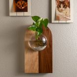 Propagation Vase - Fly Me To The Moon 1 small