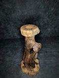 Pine Root Pedestal 5 small