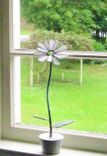 Gerbera Daisy In Snowy White  Stained Glass 4 small