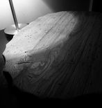 Wooden Bear Display Of Ash 1 small