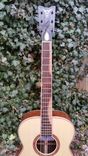 Handmade Guitar's By Ike Wilhelm 3 small
