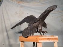 Bronze Custom Falcon In Flight 2 small
