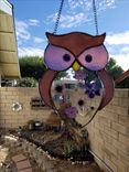 Stained Glass Owl With Flowers 6 small