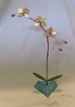 Orchid-Kaliedoscope-In Ever-Blooming 3d Iridescent Ecru Stained Glass 4 small