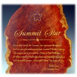 Commemorative Plaques 3 small