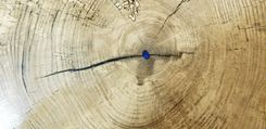 Live Edge Epoxy End Table Sycamore Large 2 small