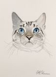 Original Watercolor Paintings By Artist Jason M Silverman 4 small
