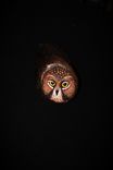 Wood Owl Wall Bird Carving Sculpture 4 small