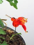 Lampwork Glass Hummingbird Plant Accessory 4 small