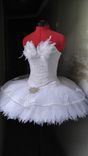 Custom Ballet Tutu Or Performance Costume 1 small