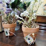 Hone Bee Gift Decor Bundle Set Of 4 3 small