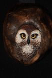 Owl Wall Art 2 small