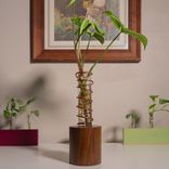 Propagation Vase - Lean On Me 1 small