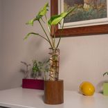 Propagation Vase - Lean On Me 2 small