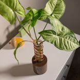 Propagation Vase - Lean On Me 3 small