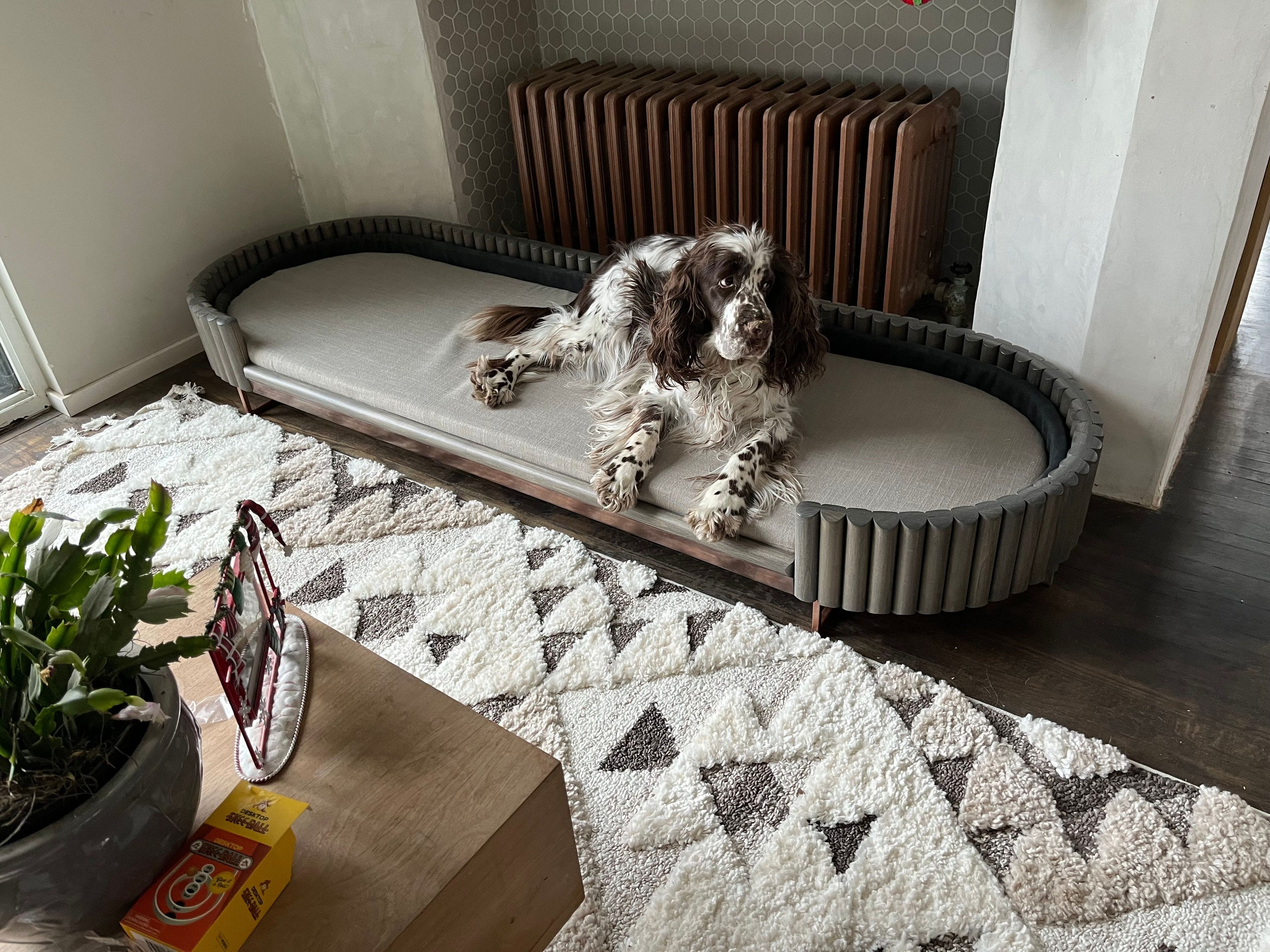 Dog Bed 3 